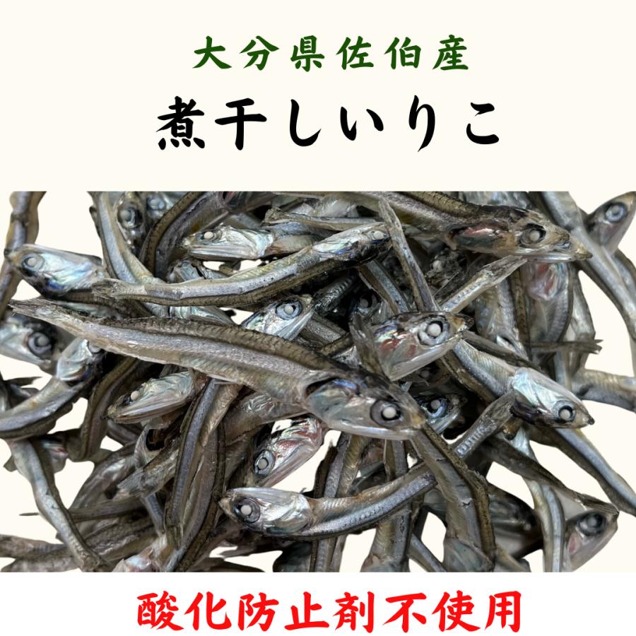 大分県佐伯産】 特上いりこ（煮干し）500g 酸化防止剤不使用 大正14