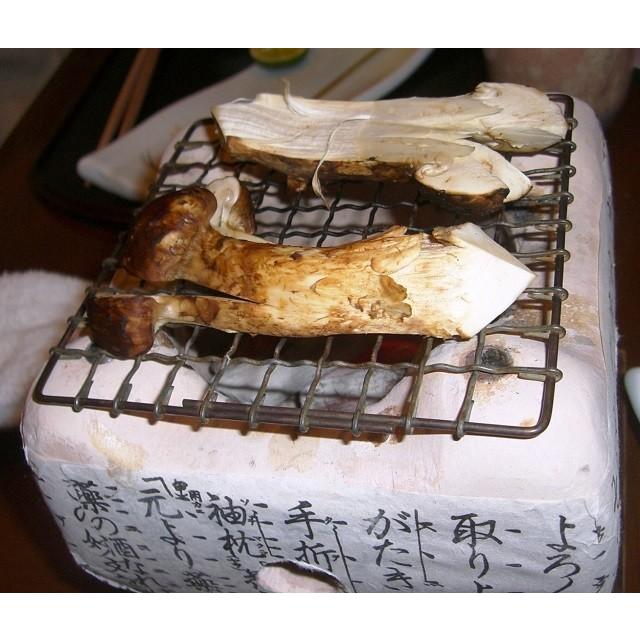 松茸 国産 大きさ不揃い 約100g 南会津町産 岩手県産 マツタケ 採りた