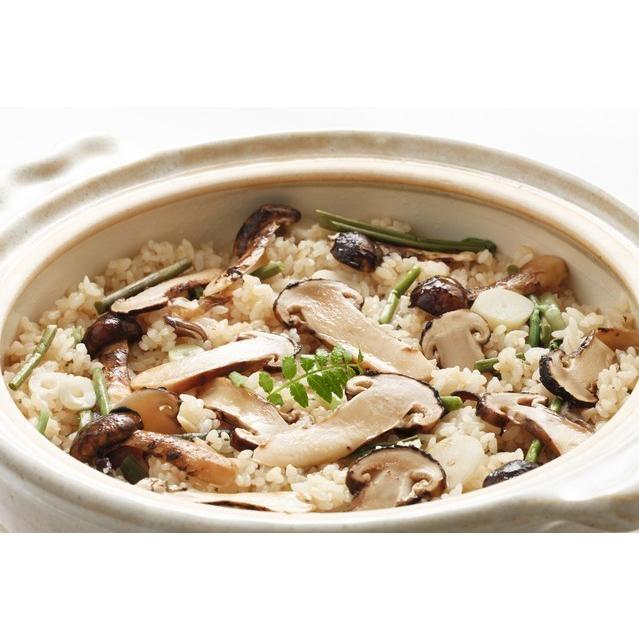 松茸 国産 松茸 大きさ不揃い 約300g 南会津町産 岩手県産 マツタケ 