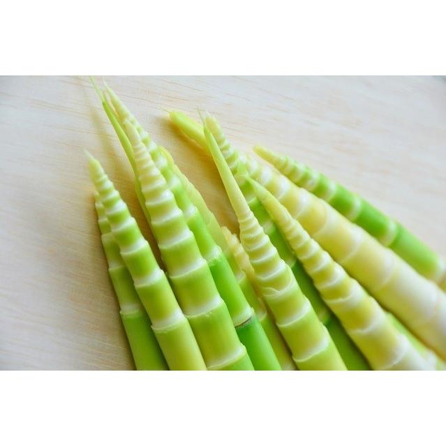 天然 山菜 根曲がり竹 300g 甘いタケノコ 春の味覚 山の幸 朝採り 産地