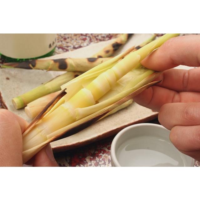 天然 山菜 根曲がり竹 300g 甘いタケノコ 春の味覚 山の幸 朝採り 産地