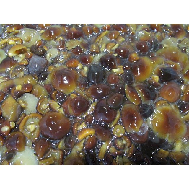塩漬け 塩蔵 天然茸 きのこ ナメコ 奥会津産 500g K102 天然きのこ 山菜の奥会津旬彩館 通販 Yahoo ショッピング