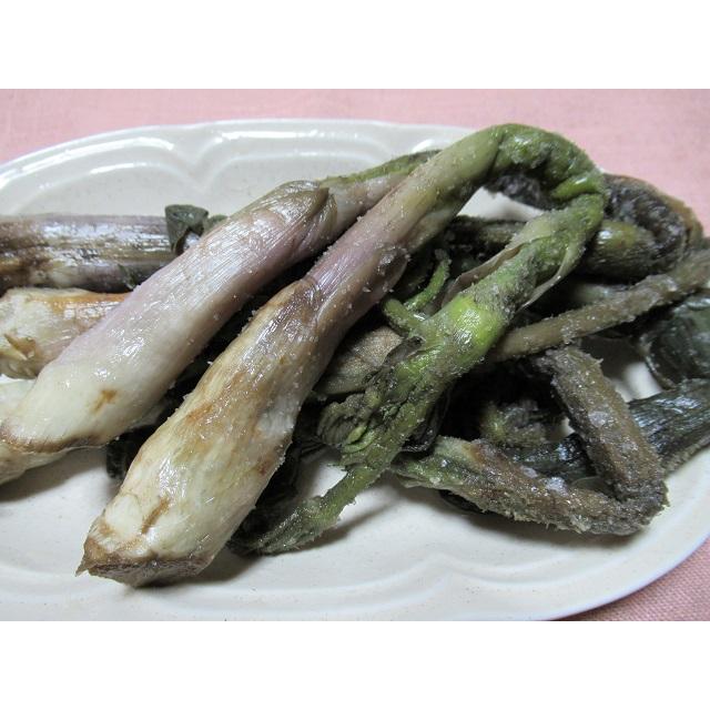 塩漬け（塩蔵）天然山菜 山ウド1kg : 天然きのこ・山菜の奥会津旬彩館