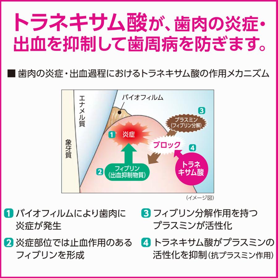LION ライオン システマ デンタル ペーストα 90g×10本 LION LION ライオン システマ デンタル ペーストα 90g×10本 LION