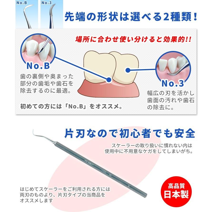 ヤニ取り＆歯石とりホームケア スケーラー 1本 日本製 メール便送料無料｜okuchi｜03