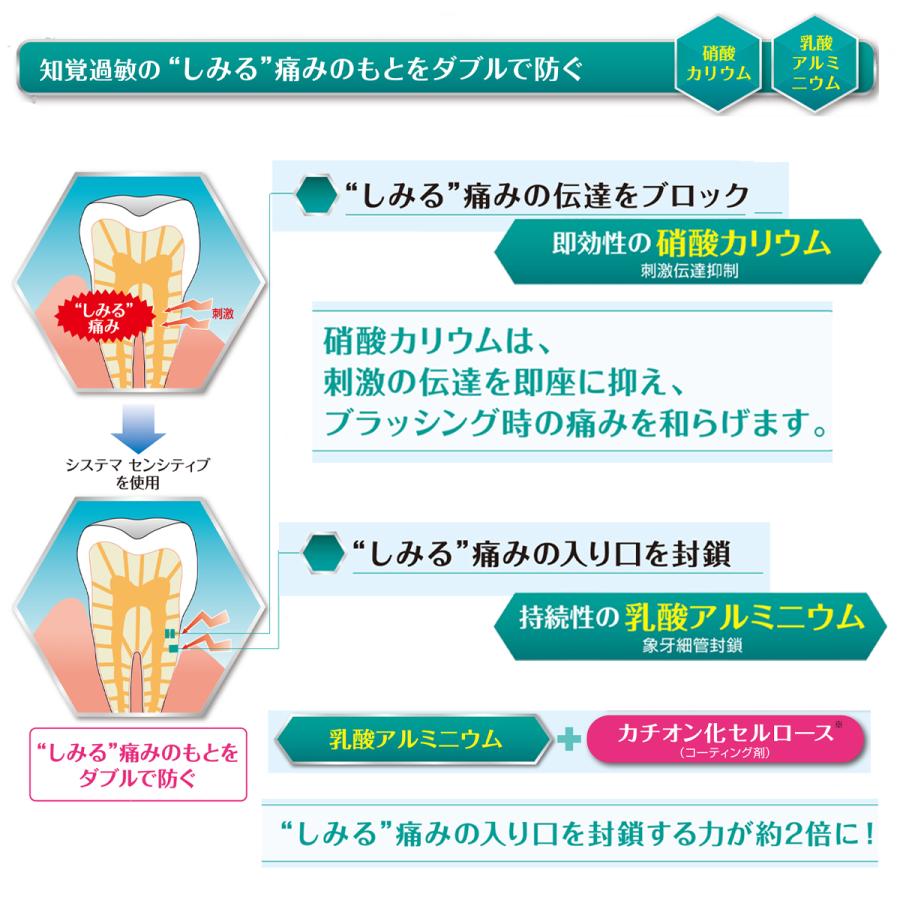 ライオン システマセンシティブ soft paste 85g 1本 フッ素濃度1450ppm 歯科専売品｜okuchi｜05