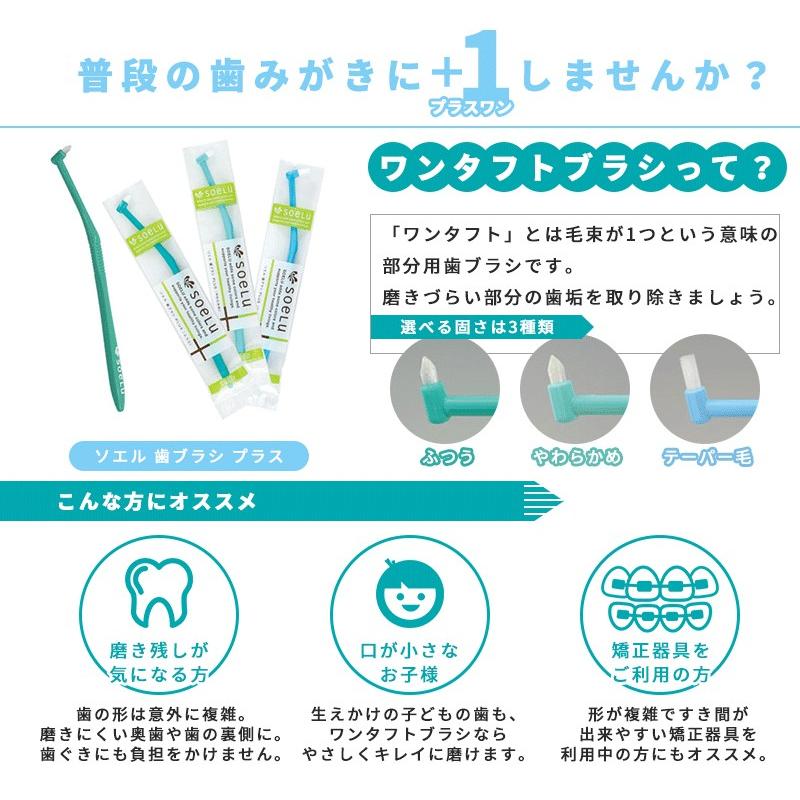 歯ブラシ soelu ソエル （PLUS）ワンタフトブラシ×1本｜okuchi｜02