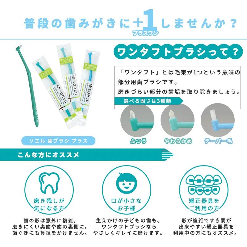 31日までp5倍 クーポン有 歯ブラシ Soelu ソエル Plus ワンタフトブラシ 1本 お口の専門店 通販 Paypayモール