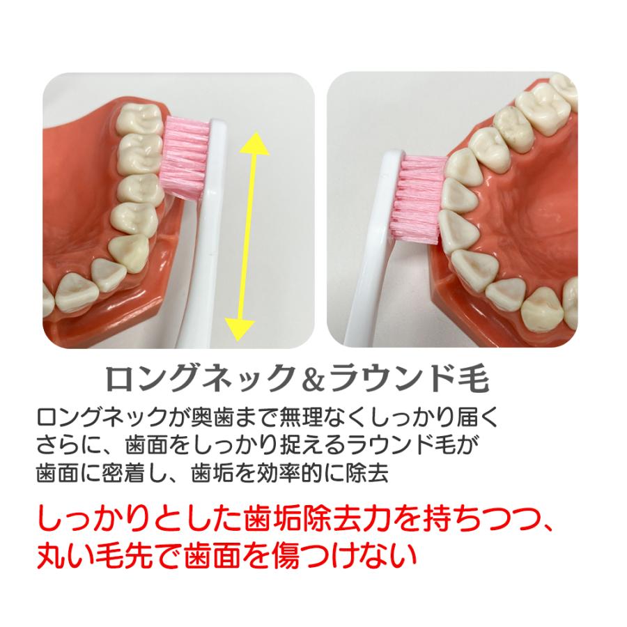 歯科　材料　まとめ売り 株式会社OKABE｜製品案内｜EASY FORCEPS FOR CHILDREN