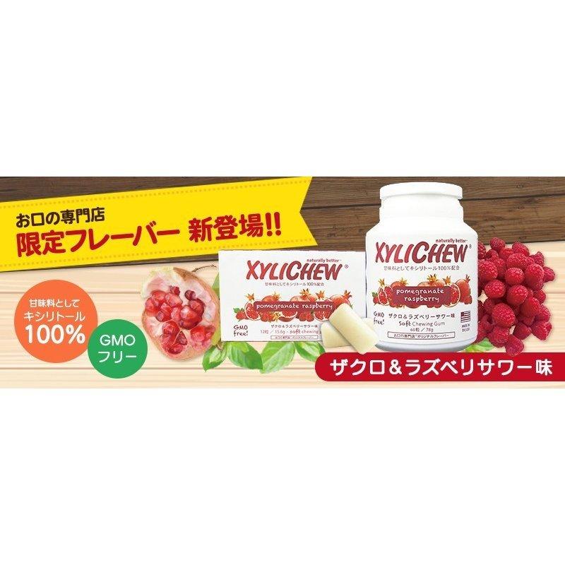 "P5%還元" キシリトール100% XyLichew(キシリチュウ)粒ガム ブリスターパック(12粒) ×4個(2個ずつ選べる) メール便送料無料｜okuchi｜03