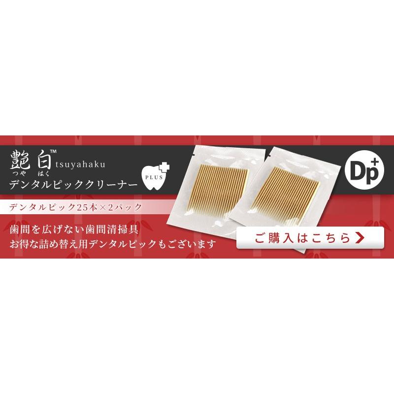 艶白 三角ようじ お口の専門店 Dp+ デンタルピッククリーナー＋