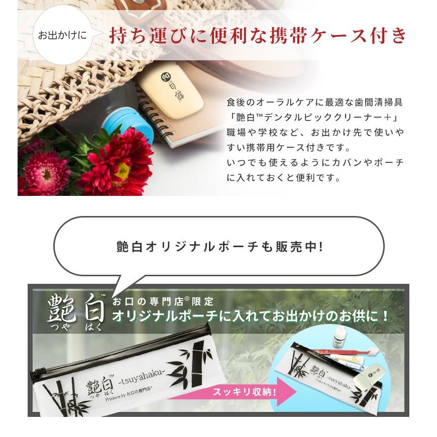 艶白 三角ようじ お口の専門店 Dp+ デンタルピッククリーナー＋