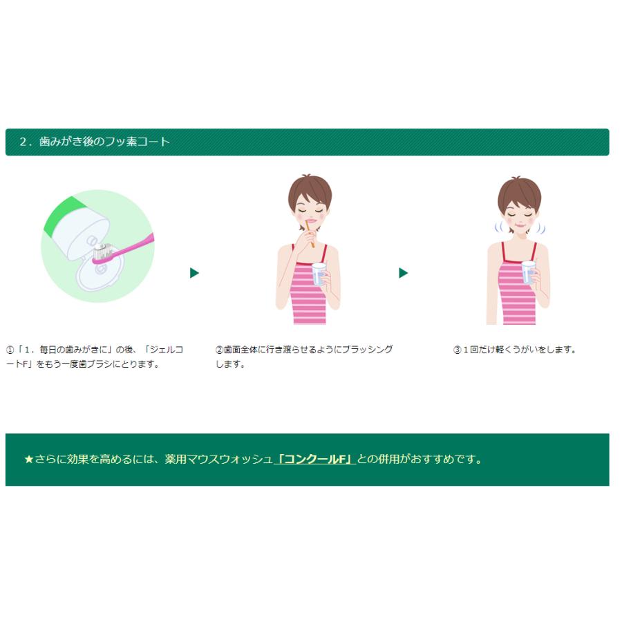 大量購入割引(要相談) ジェルコートF 6本 本州送料無料フッ素コート歯みがきジェル コンクール ウェルテック 90ｇ｜okuchinomente｜07