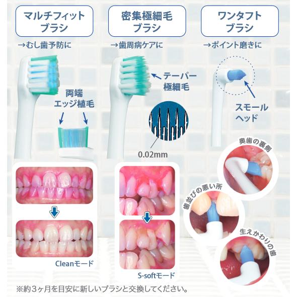 GC ジーシー プリニア 替えブラシ こども用ブラシ 2本入 音波電動