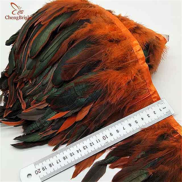 Chengbright 完璧な 1 ヤード コックテール 羽 13 18 センチ メートル 5 7 インチ 幅 装飾 クラフト フェザー 3 Okusuto 通販 Yahoo ショッピング