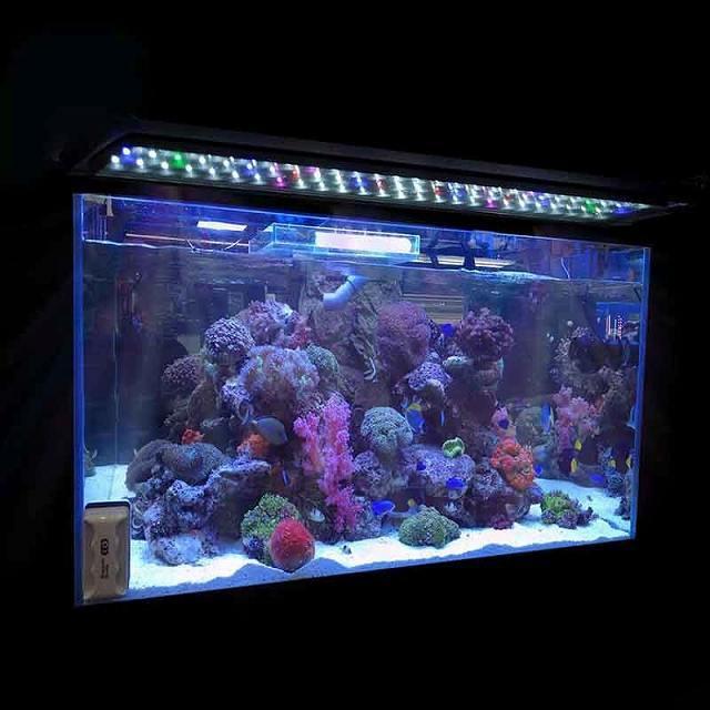 防水 Led アクアリウム ライト 水槽 ライト バーブルー水中水中クリップ ランプ 水生装飾 30 40 60 センチメートル Okusuto 通販 Yahoo ショッピング