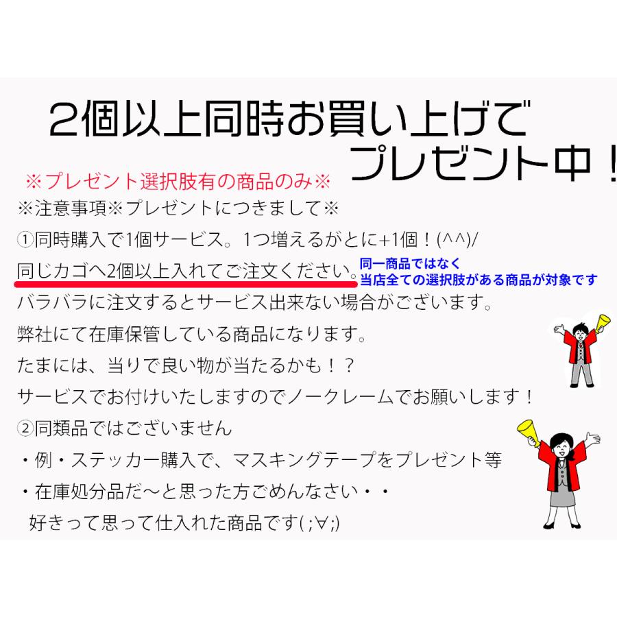 同時購入特典有 名前シール 1シート こびとづかん グッズ : オクデン