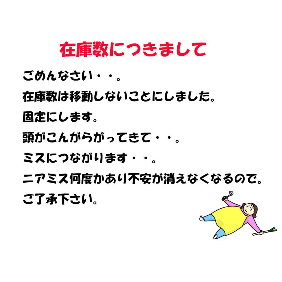 カミオジャパン 同時購入特典有 大人の図鑑シール 日本の城編