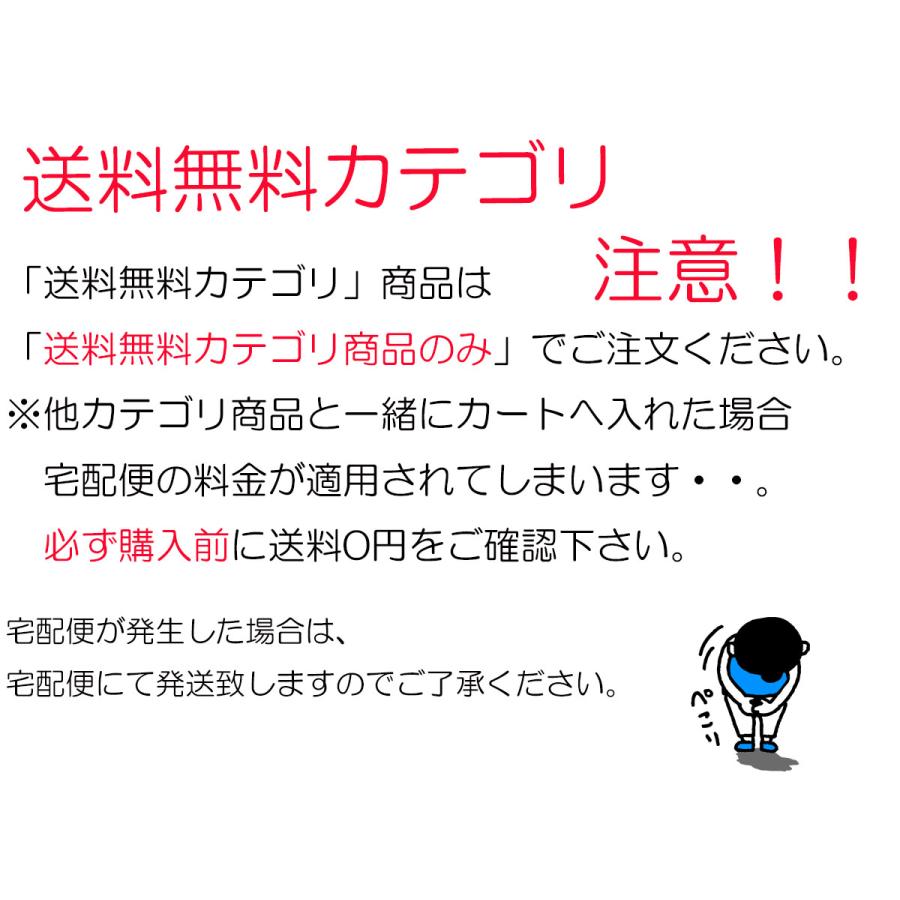 カミオジャパン 同時購入特典有 大人の図鑑シール 日本の城編