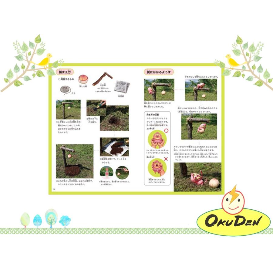 こびと観察入門1 増補改訂版 こびとづかん 小学生 幼稚園 保育園 本 I 023a オクデン Com 通販 Yahoo ショッピング