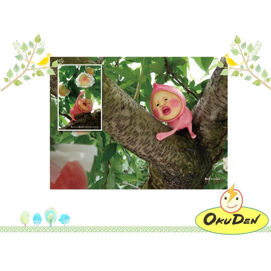 こびと観察入門1 増補改訂版 こびとづかん 小学生 幼稚園 保育園 本 I 023a オクデン Com 通販 Yahoo ショッピング