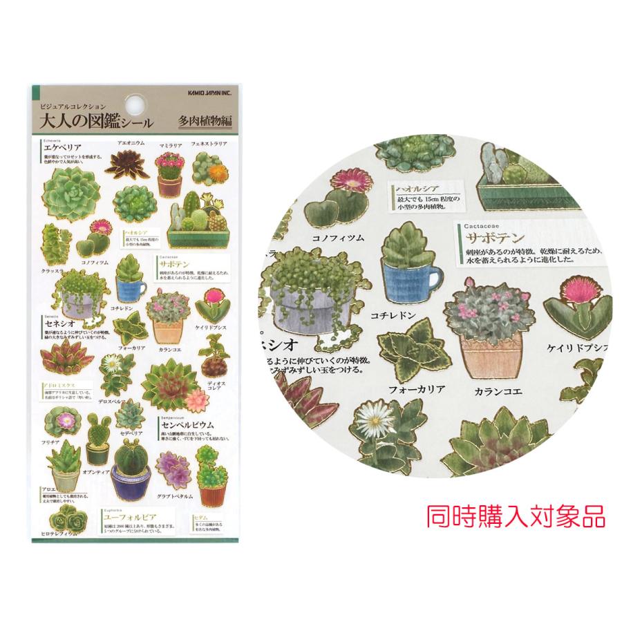 カミオジャパン 同時購入特典有 大人の図鑑シール 多肉植物編 色紙