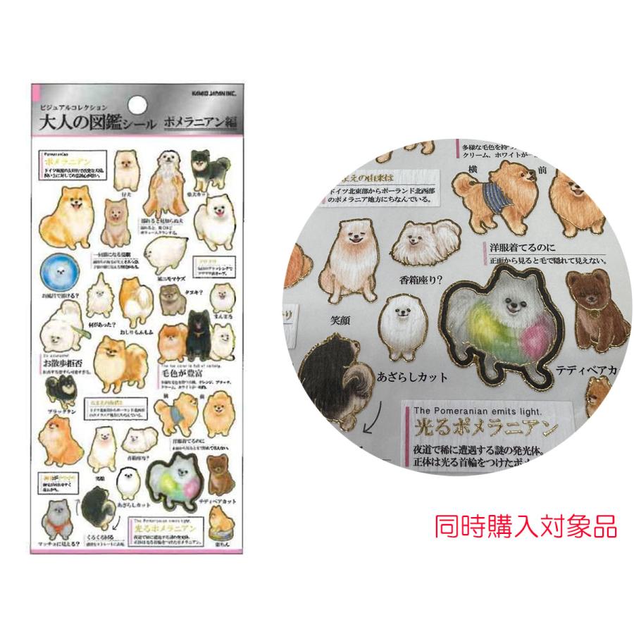 カミオジャパン 同時購入特典有 大人の図鑑シール ポメラニアン編 色紙