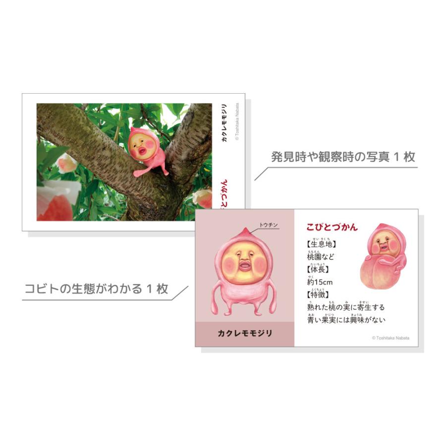 宅配便発送 こびとづかん シークレットスマロイド 全12種 コンプリート