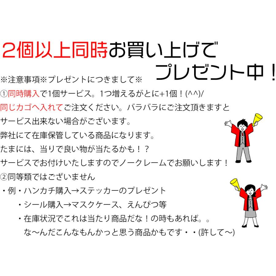 カミオジャパン 同時購入特典有 大人の図鑑シール 桜編 色紙