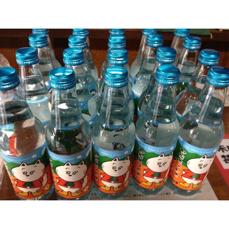 奥飛騨酒造 オリジナル商品 ひだニャンコサイダー 20本 サイダー 炭酸
