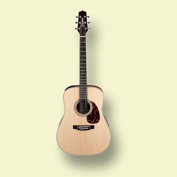 Takamine DMP281-DC タカミネエレアコ 【専用ハードケース付 