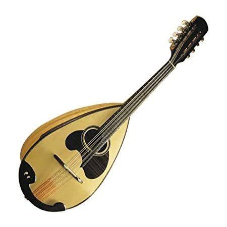 希少ENA恵那マンドリンマンドリンEM-40