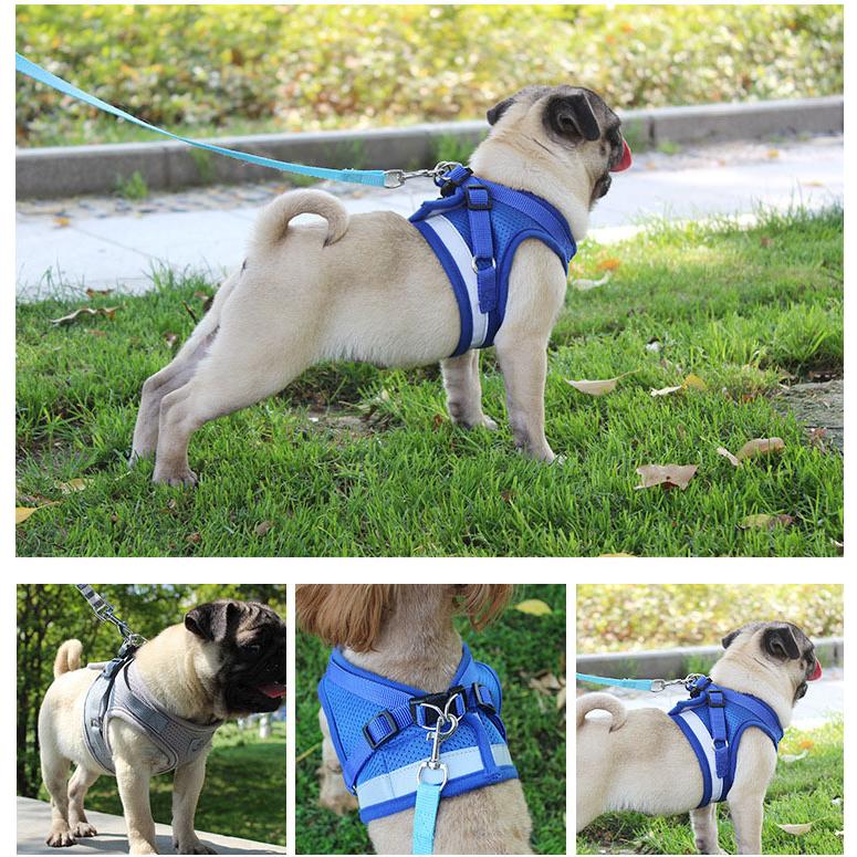 犬 ハーネス 小型犬 苦しくない ハーネス リードセット 一体型 胸あて式 軽量 調節可能 胴輪 メッシュ ペット 猫用首輪 猫 犬 可愛い 散歩 お出かけ 簡単装着 Pet 奥の細道 通販 Yahoo ショッピング