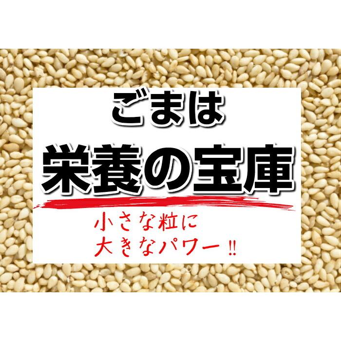 すりごま 100g 送料無料 メール便 すり胡麻 すりゴマ ごま ゴマ : 和の食材 奥乃屋Yahoo!店 - 通販 - Yahoo!ショッピング