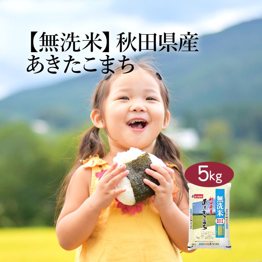 おくさま印 米 無洗米 5kg あきたこまち 秋田県産 令和7年産 白米 単一