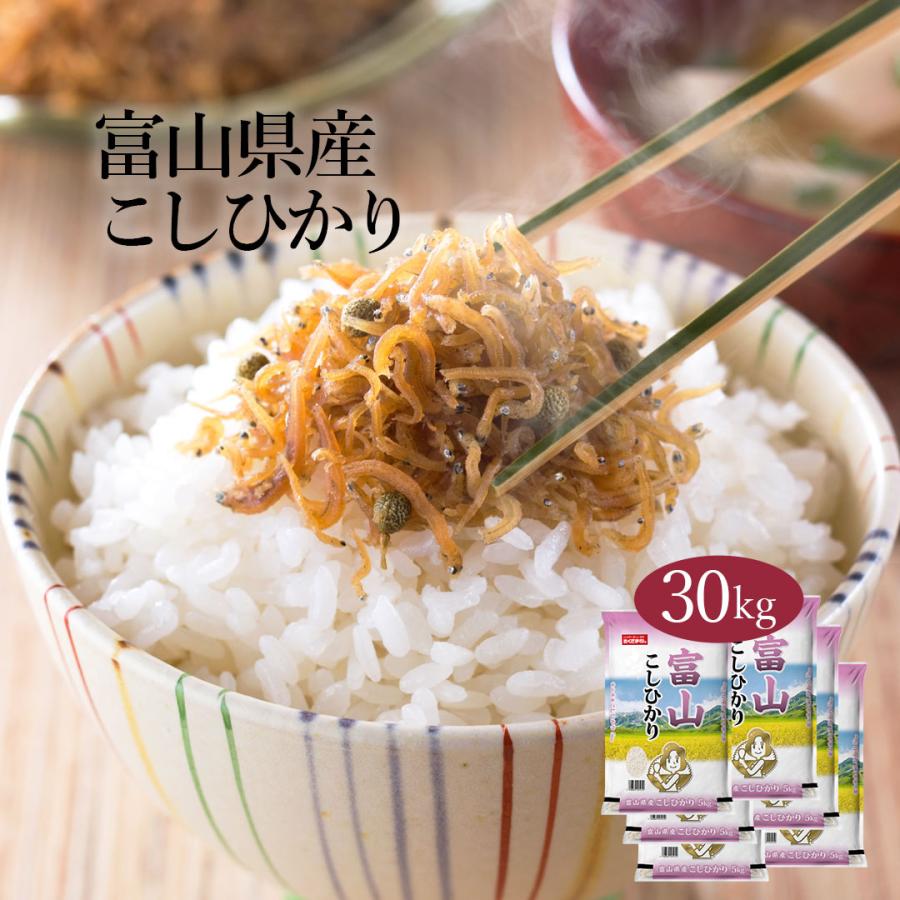 滋賀県産コシヒカリ精米30キロ