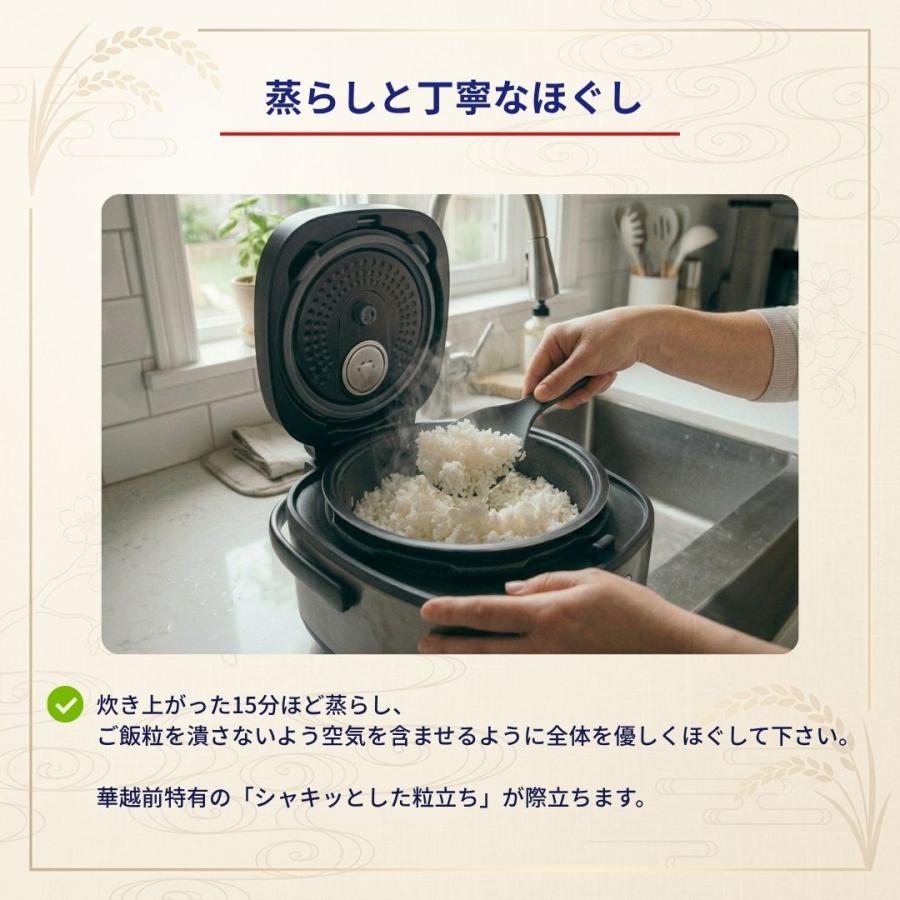 おくさま印 新米 令和8年産 福井県産 ハナエチゼン 白米 10kg（5kg×2袋