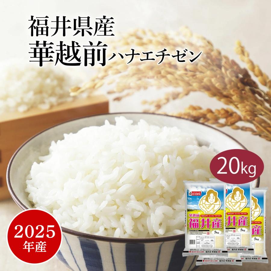 新米20キロハナエチゼン ハナエチゼン 20kg 5kg×4袋 白米 福井県産 令和7年産 送料無料 : 福井