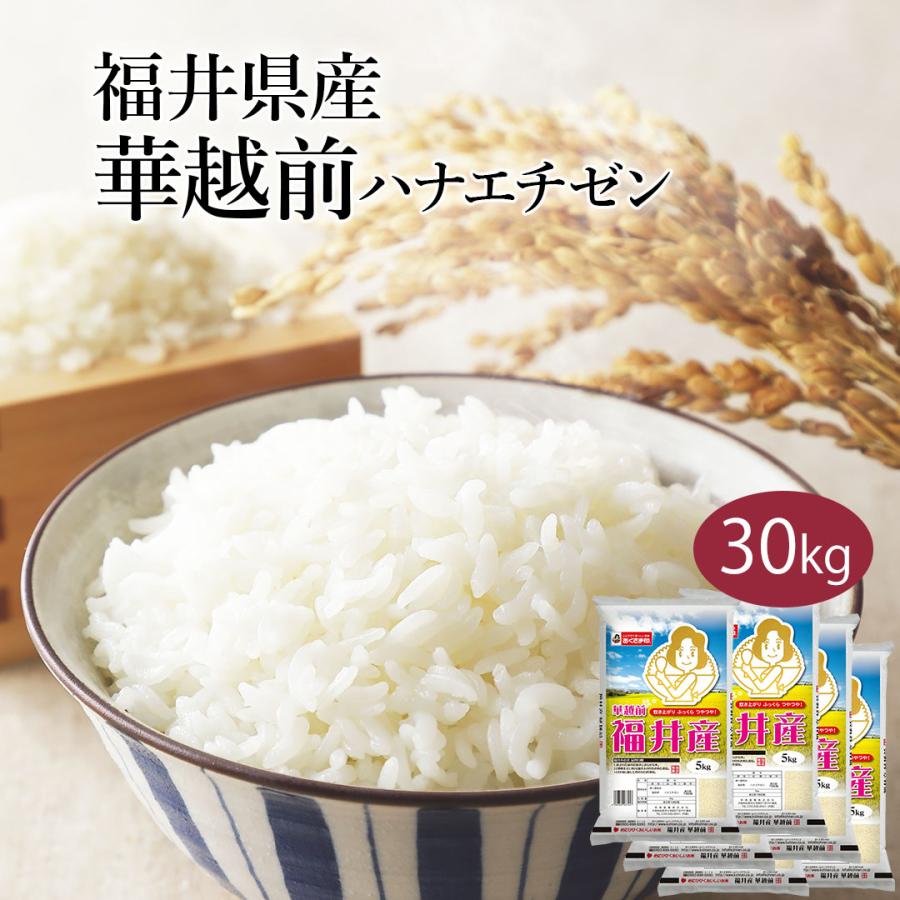 おくさま印 米 お米 米30kg 白米 送料無料 華越前 ハナエチゼン おくさま印 米 お米 米30kg 白米 送料無料 華越前 ハナエチゼン