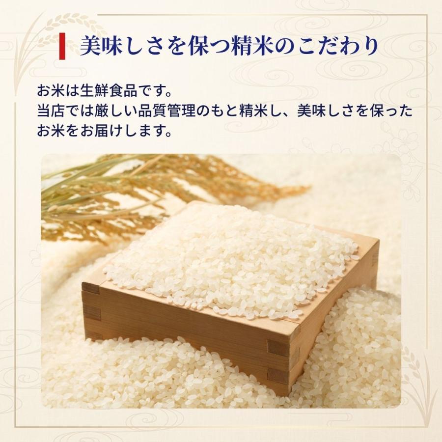食品 決まりました 新米 令和6年 30キロ 玄米 華越前 2