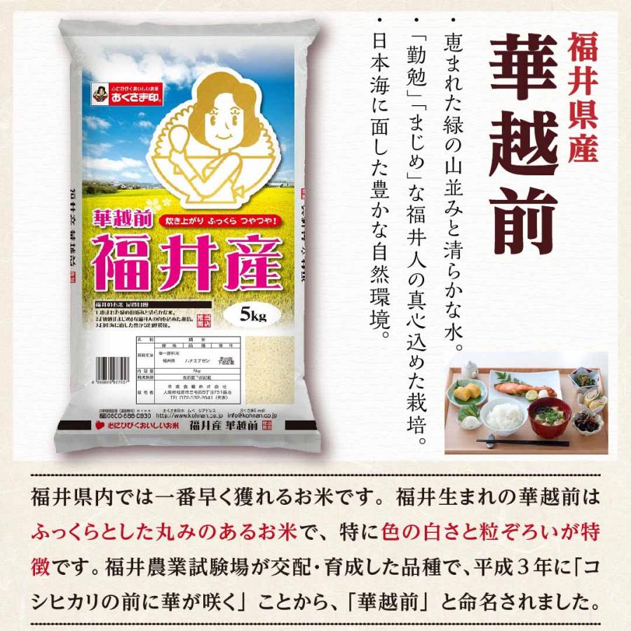おくさま印 米 お米 米30kg 白米 送料無料 華越前 ハナエチゼン おくさま印 米 お米 米30kg 白米 送料無料 華越前 ハナエチゼン