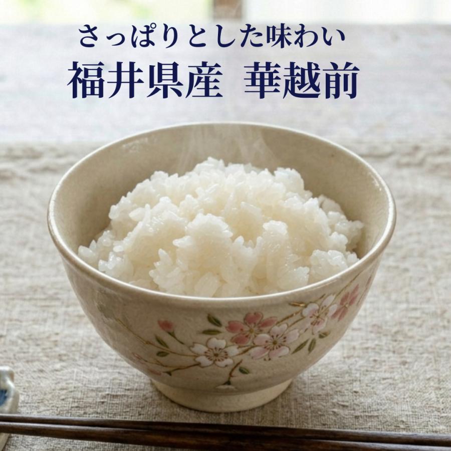 おくさま印 米 お米 30kg 5kg6セット 華越前 福井県産 令和7年産 白米