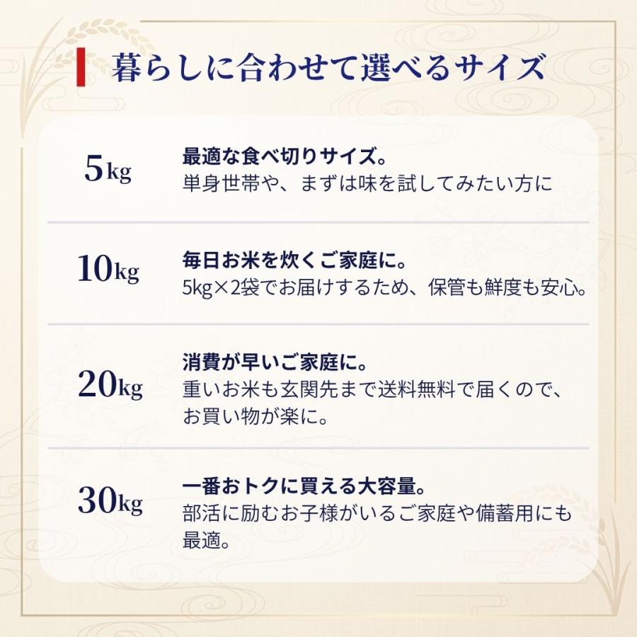 おくさま印 米 お米 30kg 5kg6セット 華越前 福井県産 令和7年産 白米