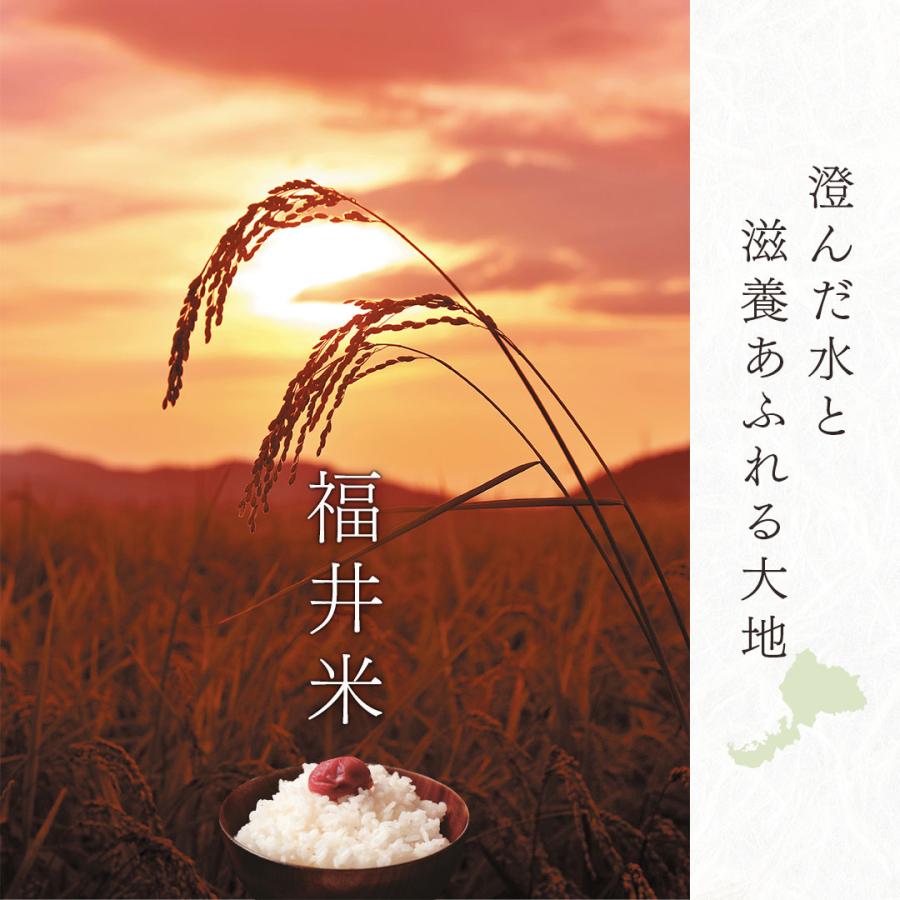 無洗米 5kg 米 コシヒカリ 福井県産 お米 米5kg 無洗米 5キロ 送料無料 米無洗米 白米 精米 おこめ 宅配 送料無 安い 格安 生活応援 令和5年産 単一原料米｜okusamajirushi｜04