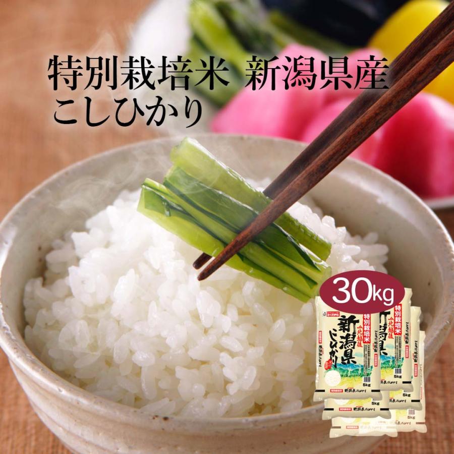 おくさま印 米 お米 米30kg 白米 送料無料 コシヒカリ 新潟県産 おくさま印 米 お米 米30kg 白米 送料無料 コシヒカリ 新潟県産