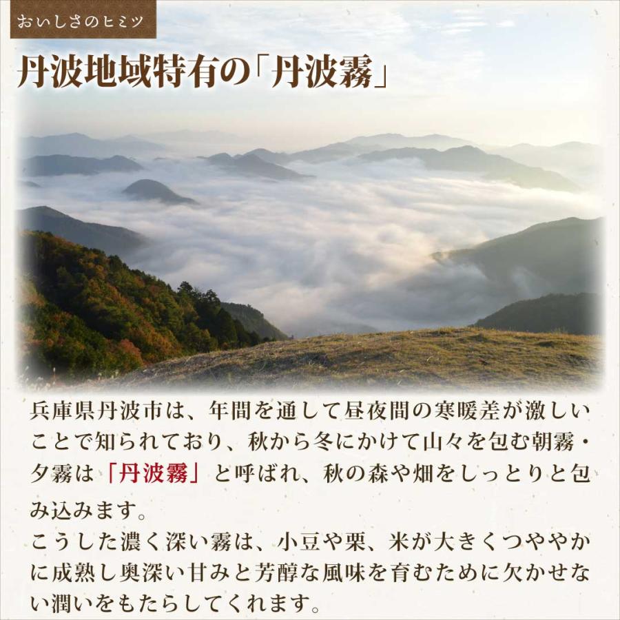 米 お米 米5kg 白米 送料無料 コシヒカリ 兵庫県産 安い 5kg おこめ 米5キロ お米5キロ 5キロ お米5kg 精米 単一原料米 令和5年産 美味しい 格安｜okusamajirushi｜05