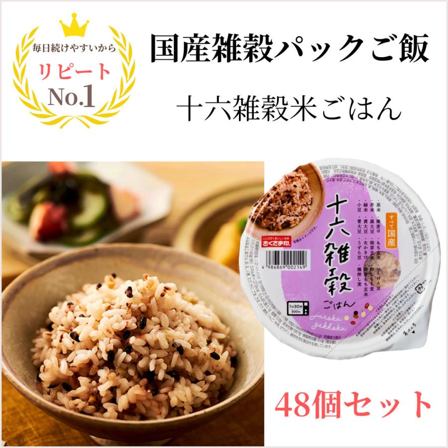 120g×48個入り2セット白米金キラリモチ