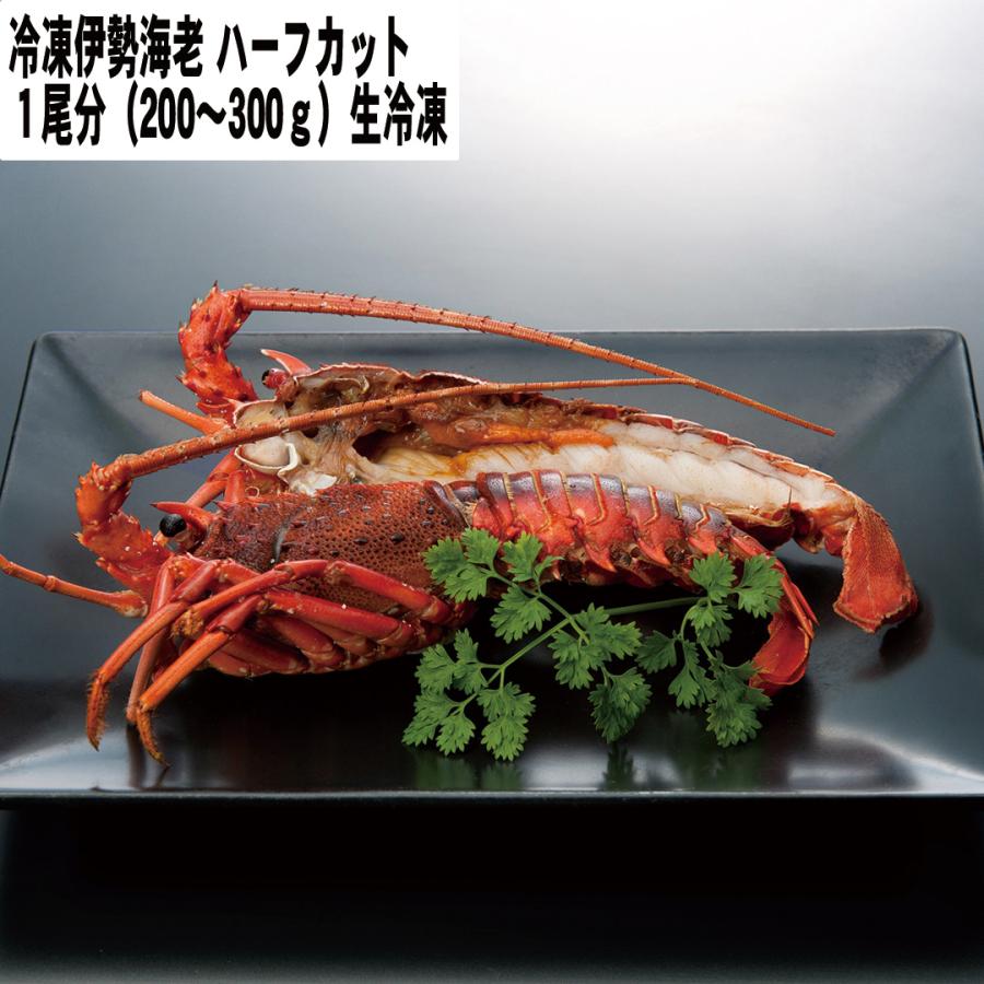 冷凍伊勢海老ハーフカット 伊勢海老（ハーフカット済み） 1尾分