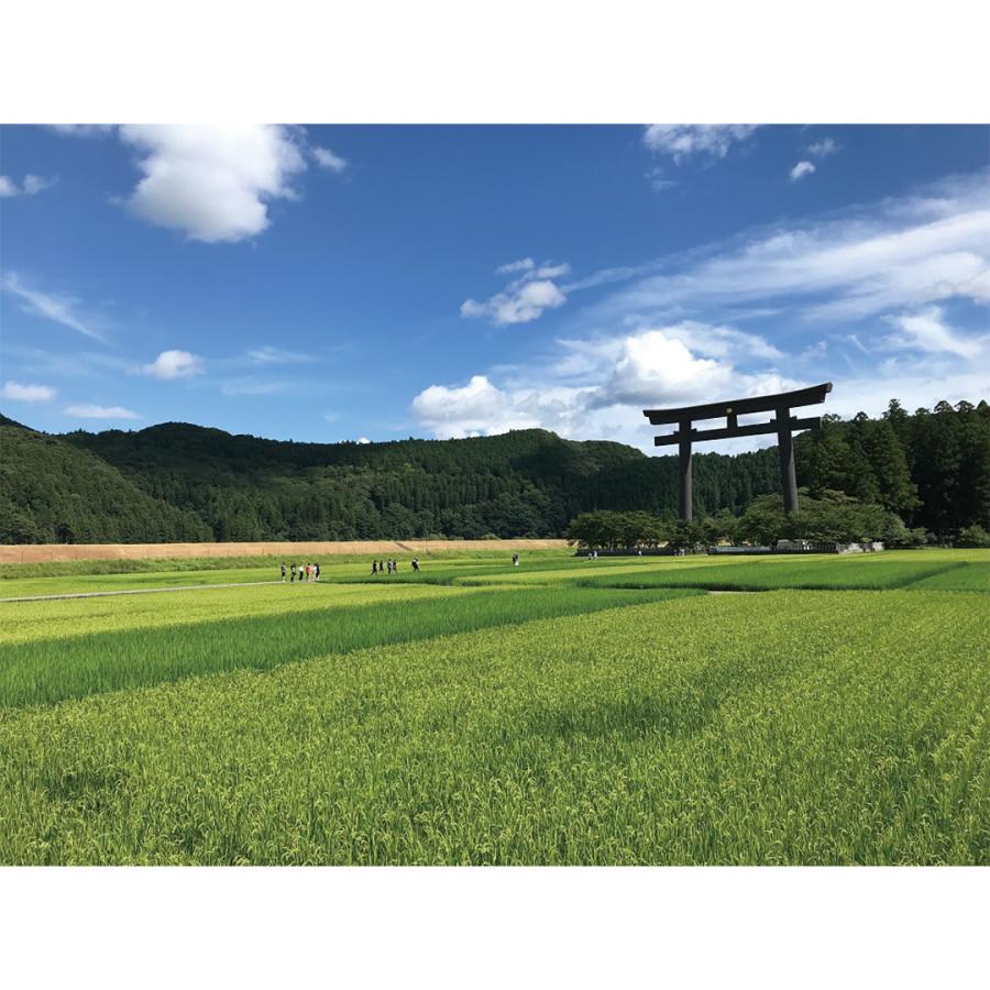 和歌山 熊野本宮釜餅  32個（よもぎ4個×4、古代?4個×2、くるみ4個×2） 【産直・メーカー直送品】_3