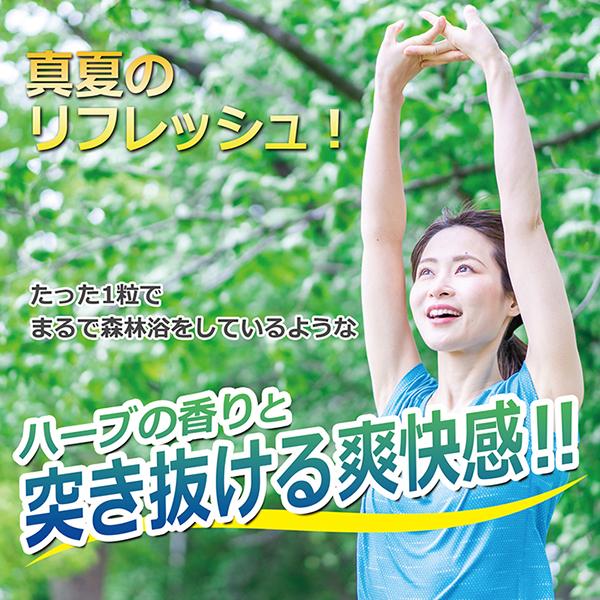 エキナケア のど飴 20袋 セット 松浦薬業 ノンシュガー 喉 ノド あめ アメ メントール (52g×15粒 20袋セット)｜okusuri-market｜06